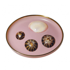 Coquillage d'allaitement... 2