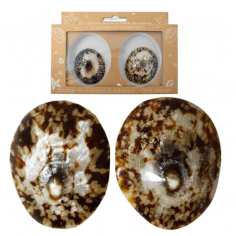 Coquillage d'allaitement...