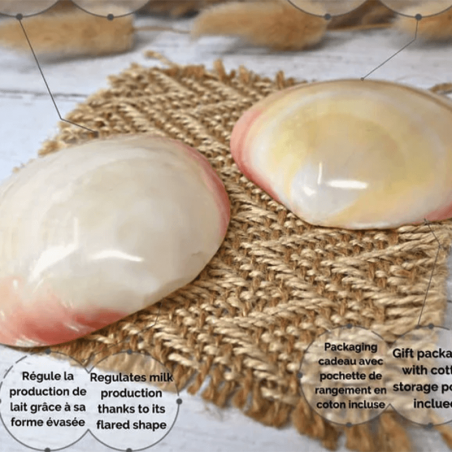 Coquillage d'allaitement mammaire - Brillant - Irréversible Bijoux –  IRREVERSIBLE