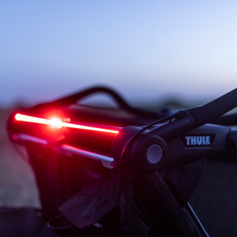 Remorque De Vélo Thule Chariot Sport 2 Places Natural Gold - Neuf - Capacité Max 42 Kg