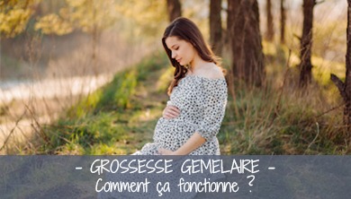 Grossesse gémellaire : comment ça marche ???